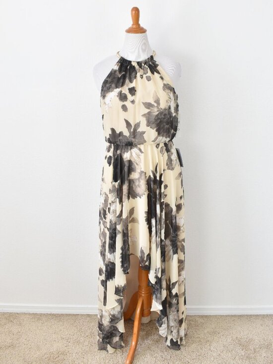 Eliza J Dresses & Skirts - Eliza J Floral High Low Chiffon Floral Formal Dress NEW - 12